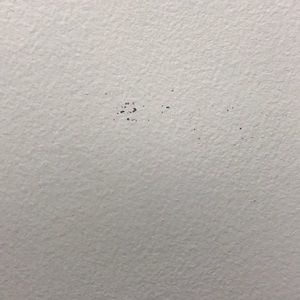 Meet your Posher, Paul